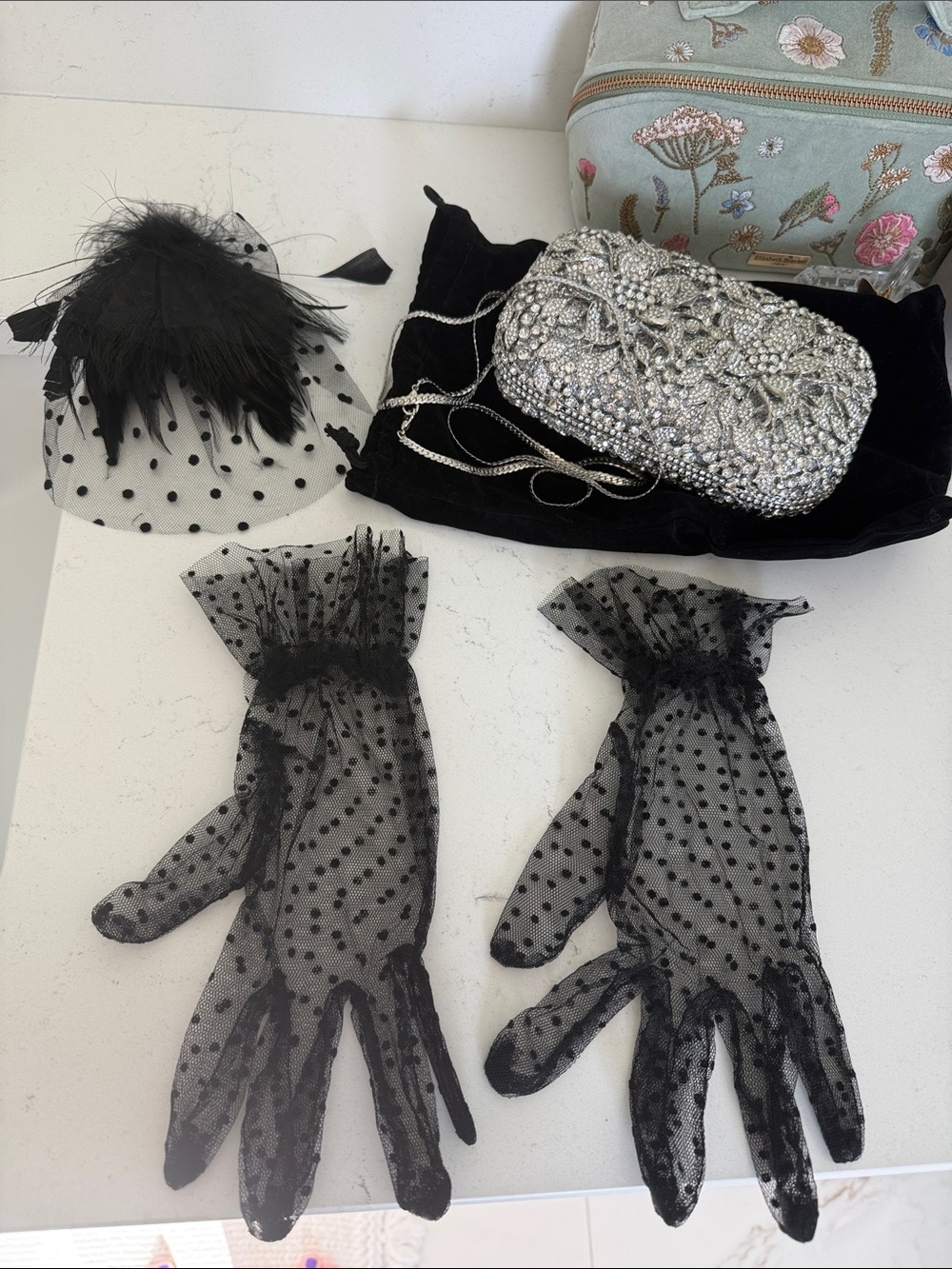 Crystal Clutch, Black Polka Dot Mesh Gloves, Hair Clip